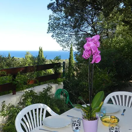 Le Lavandou, 3 Pieces, 4 Personnes - Fr-1-251-707 Apartment *